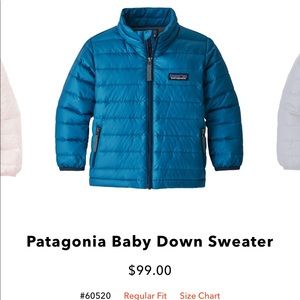 Patagonia Down Jacket